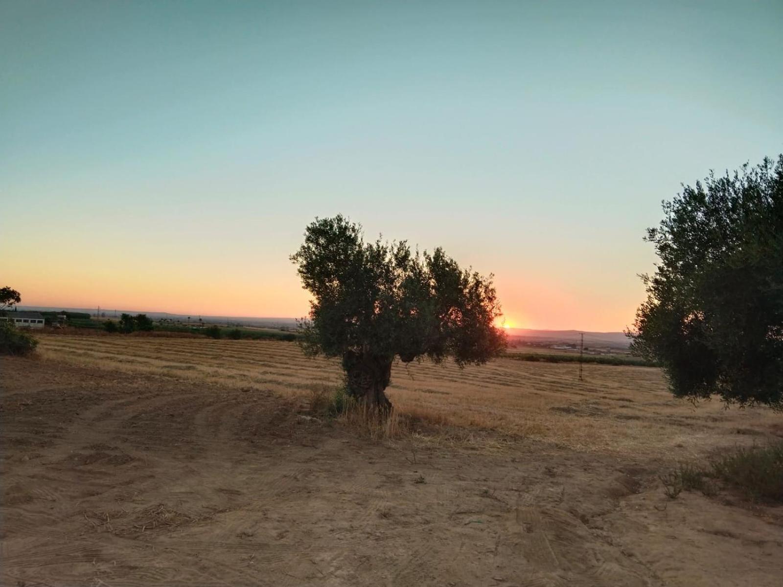 Casa Rural Cerro Campon Carmona  Buitenkant foto